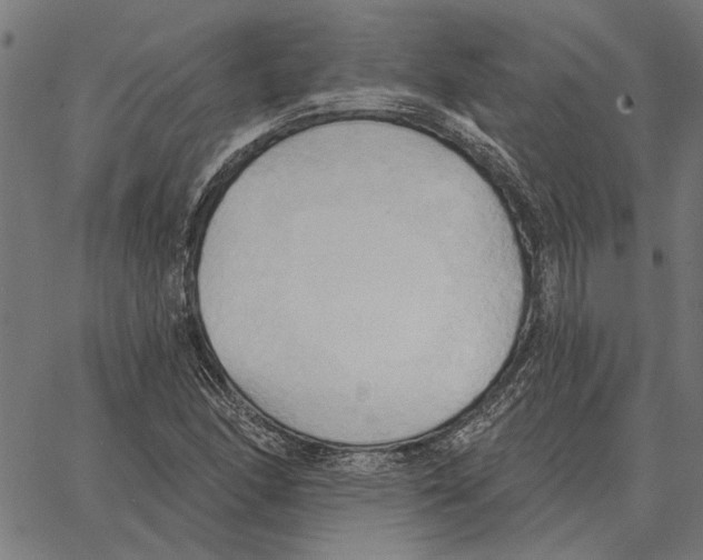 X0000062891166200602101734