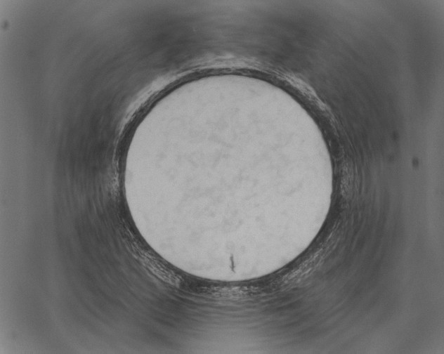 X0000062891167200602101734