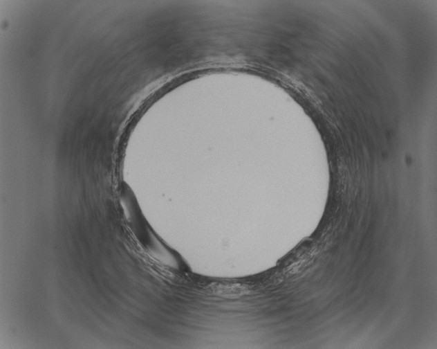 X0000062891168200602101734