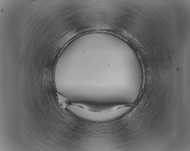 X0000062891169200602101734