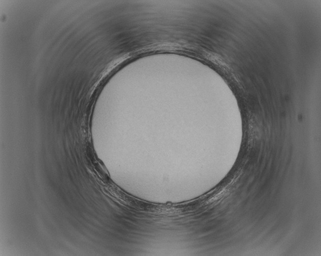 X0000062891170200602101734