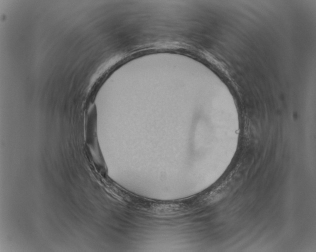 X0000062891171200602101734