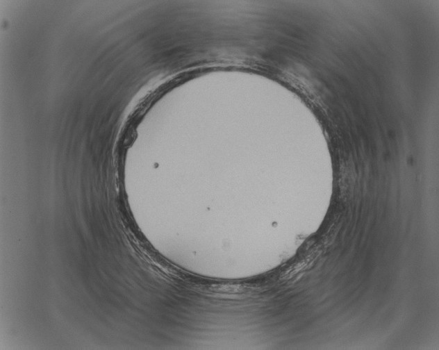 X0000062891172200602101734