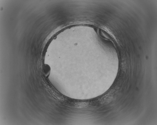 X0000062891173200602101734