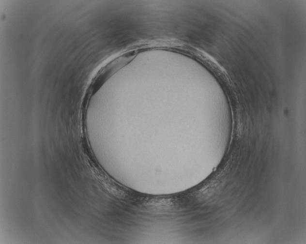 X0000062891174200602101734