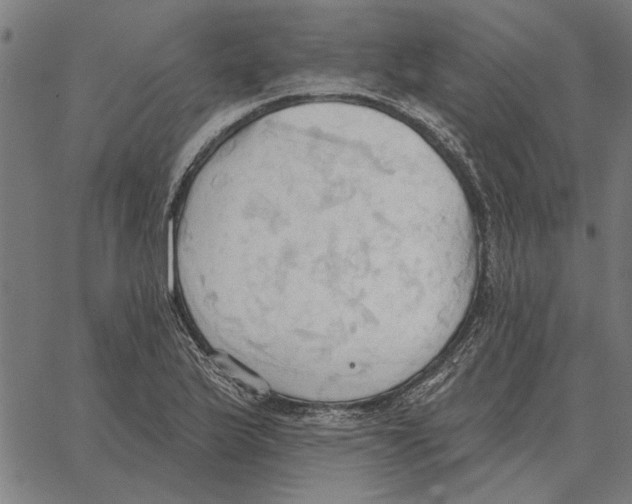 X0000062891175200602101734