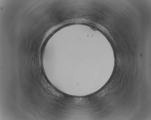 X0000062891176200602101734