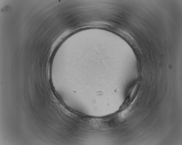 X0000062891180200602101734