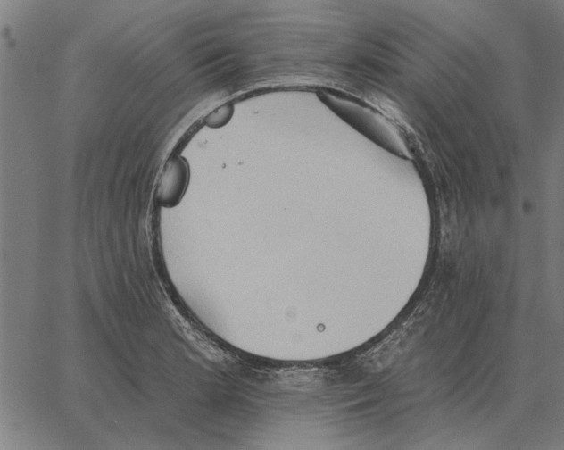 X0000062891181200602101734