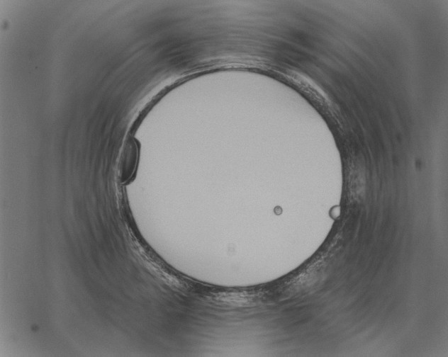 X0000062891182200602101734