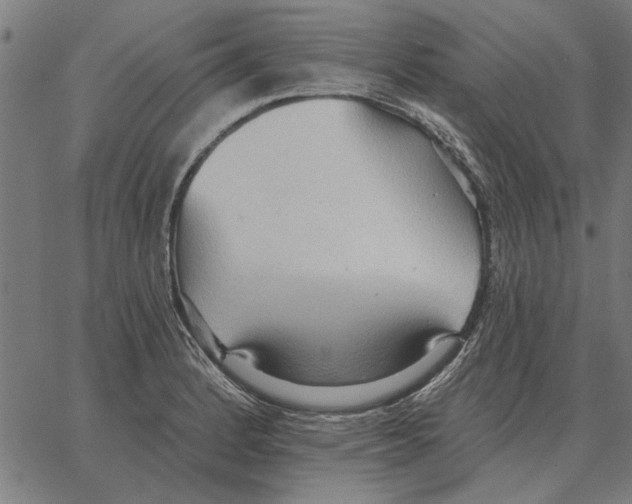 X0000062891184200602101734