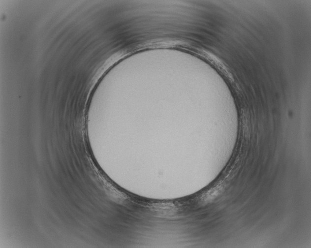 X0000062891186200602101734