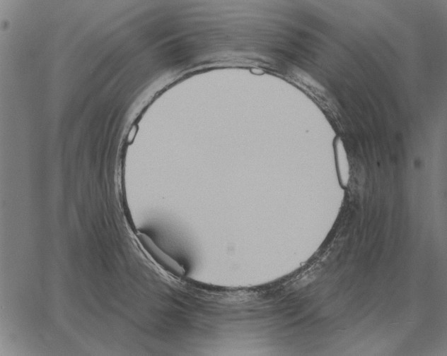 X0000062891188200602101733