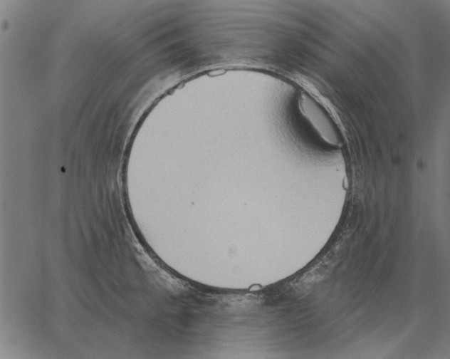 X0000062891189200602101733