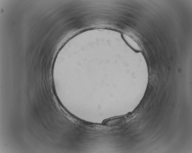 X0000062891191200602101733