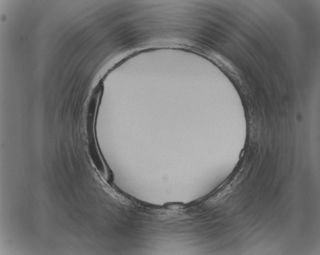 X0000062891192200602101733