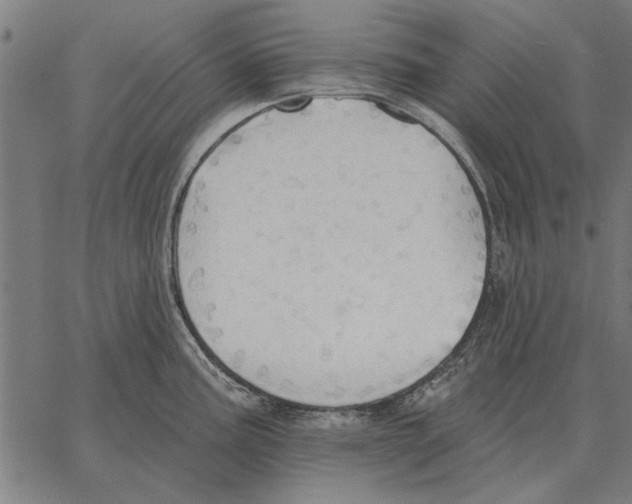 X0000062891195200602101733