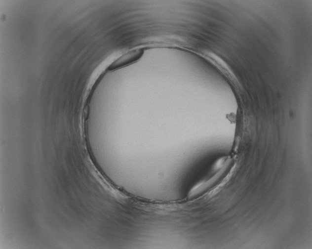 X0000062891196200602101733