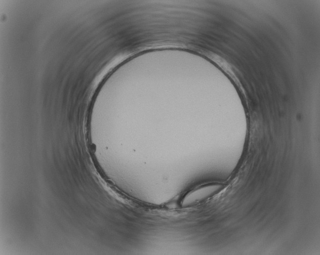 X0000062891197200602101733