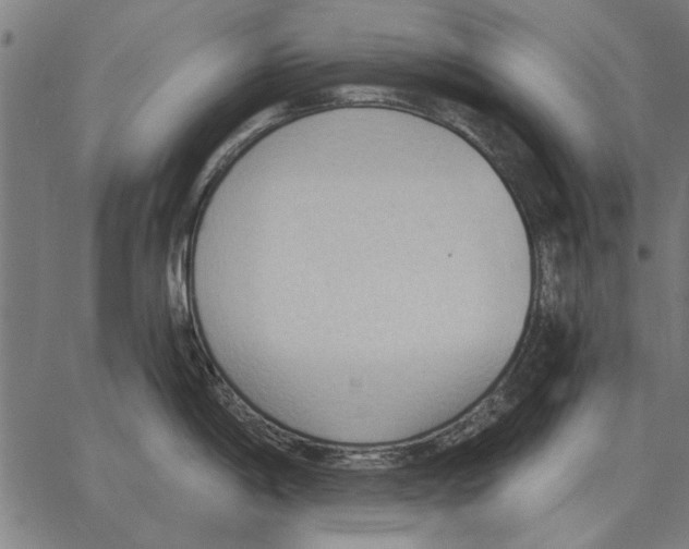 X0000062891198200602101733