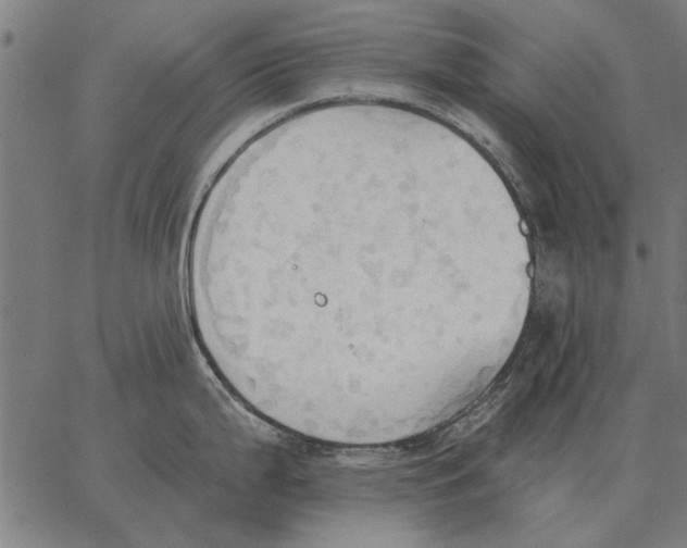 X0000062891199200602101733