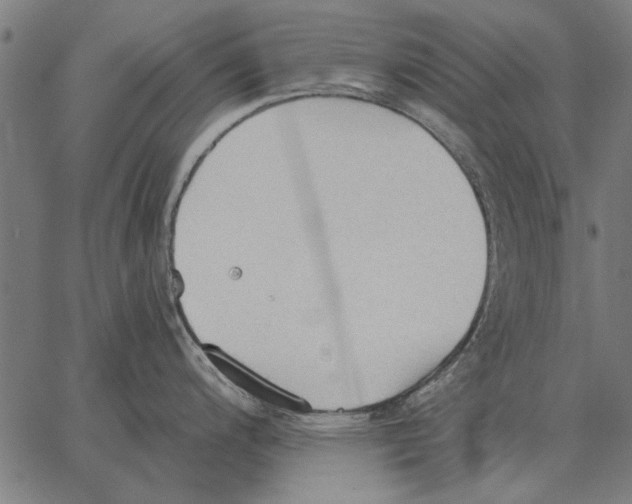 X0000062891200200602101733