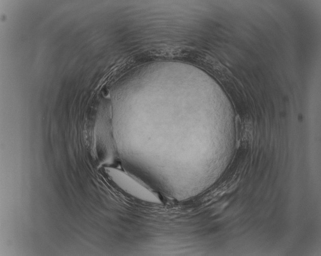 X0000062891202200602101733