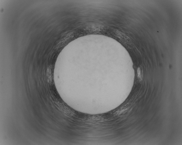 X0000062891203200602101733