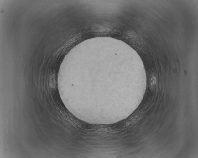 X0000062891204200602101733