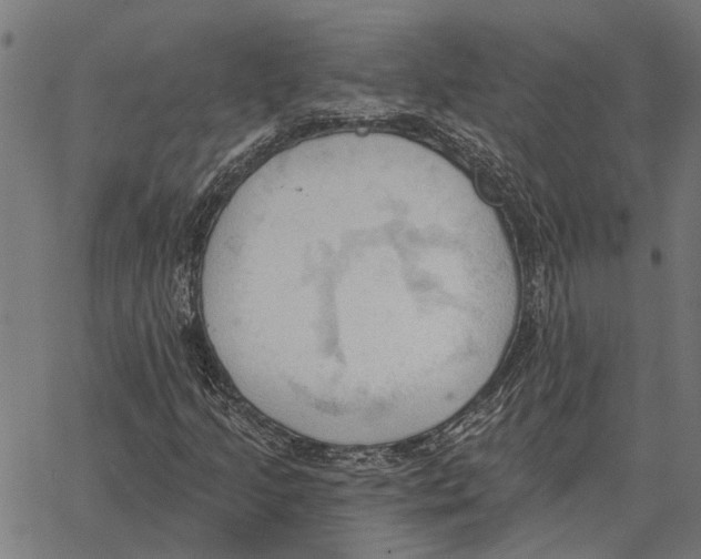 X0000062891205200602101733