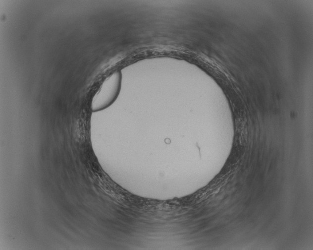 X0000062891207200602101733