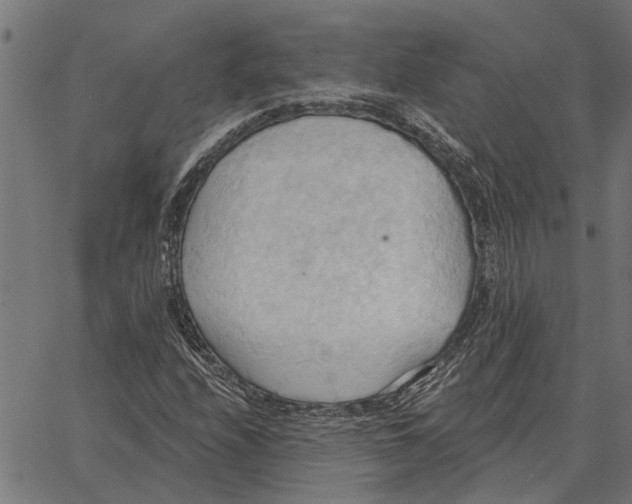 X0000062891208200602101733