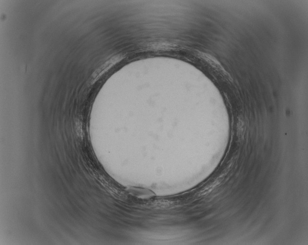 X0000062891209200602101733