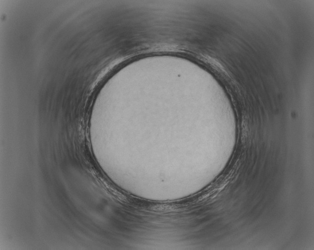 X0000062891212200602101733