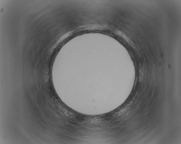 X0000062891213200602101733