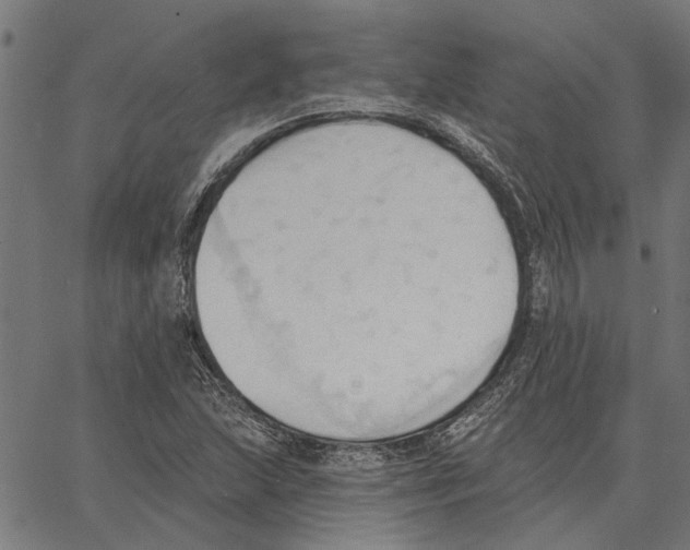 X0000062891215200602101733