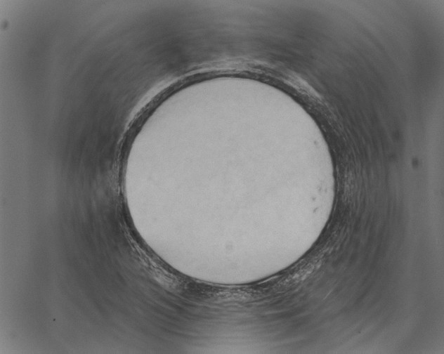 X0000062891216200602101733