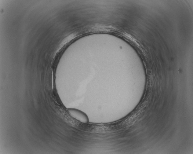 X0000062891219200602101733