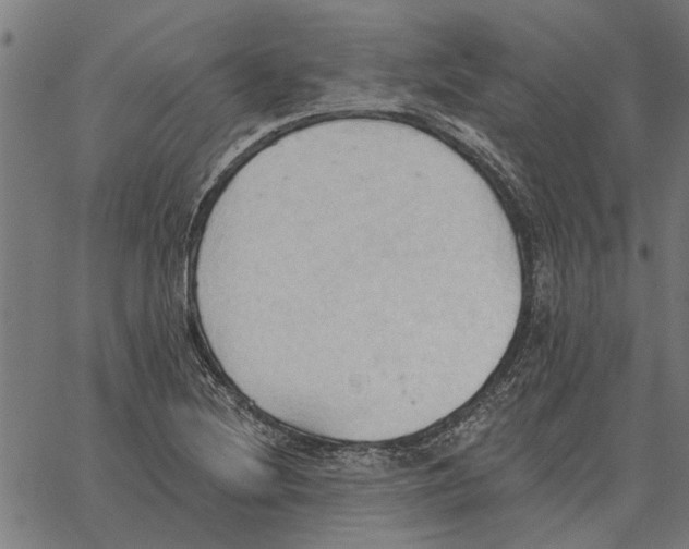 X0000062891220200602101733