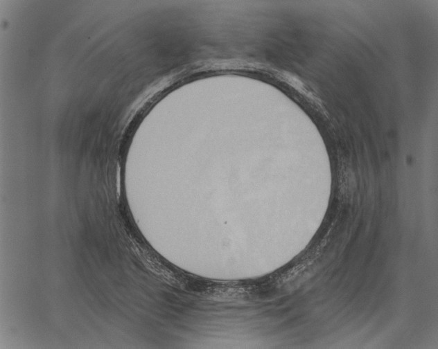 X0000062891221200602101733