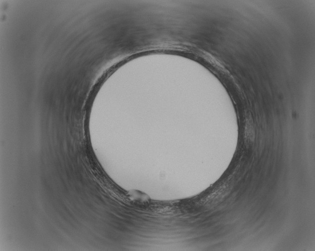 X0000062891222200602101733