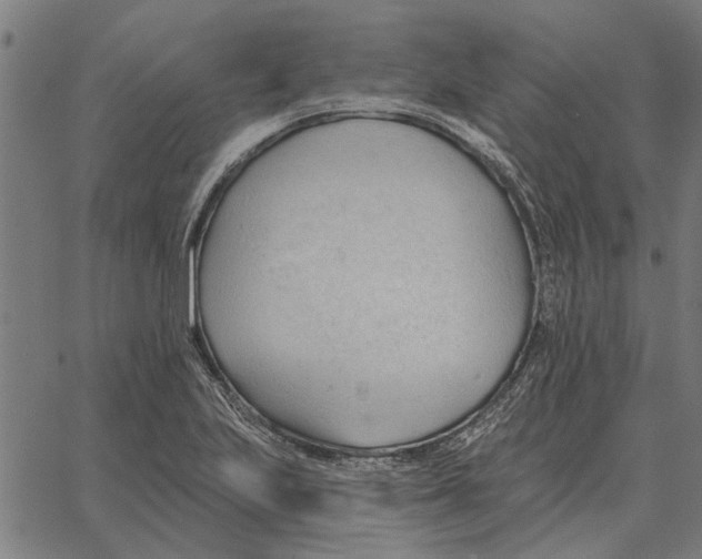 X0000062891223200602101733