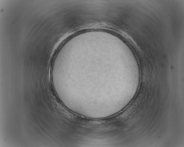 X0000062891224200602101733