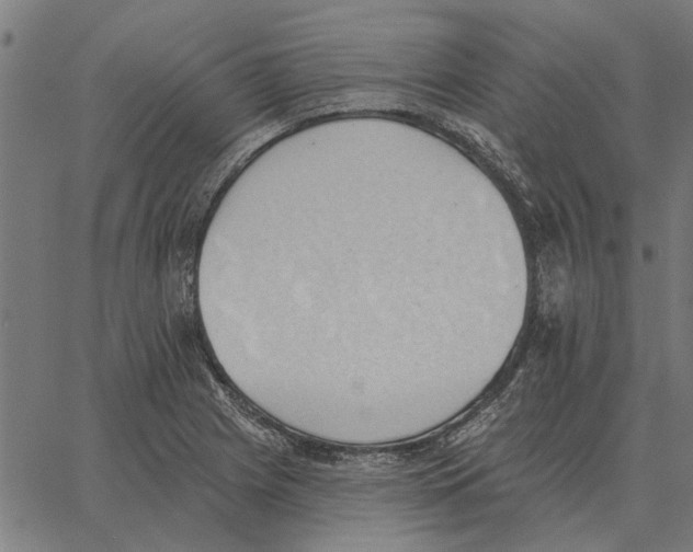 X0000062891225200602101733