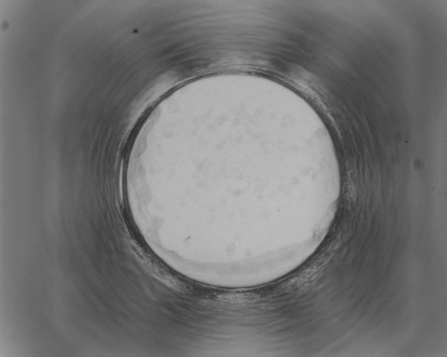 X0000062891227200602101733