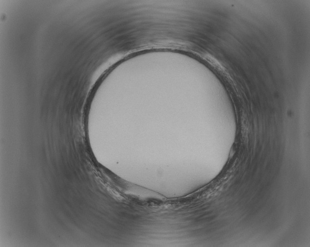 X0000062891230200602101733