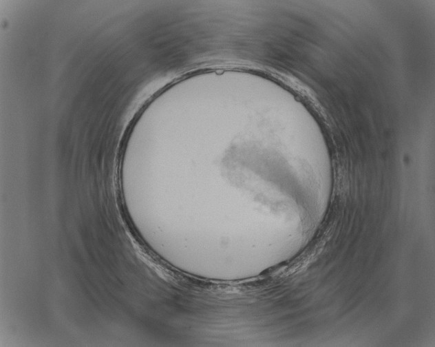 X0000062891231200602101733