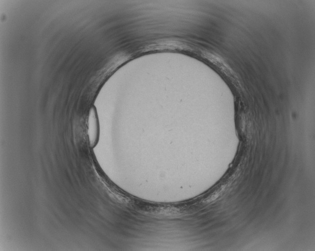 X0000062891233200602101733