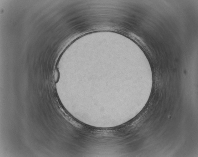 X0000062891236200602101733