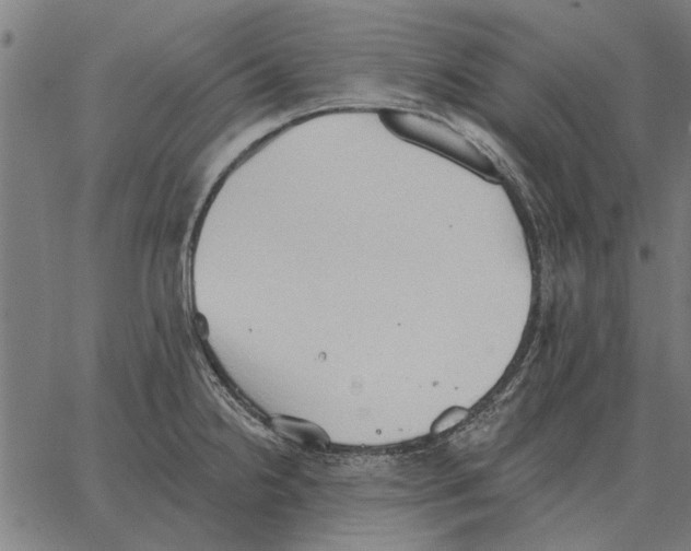 X0000062891238200602101733